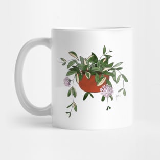 Hoya Carnosa in Red Pot Mug